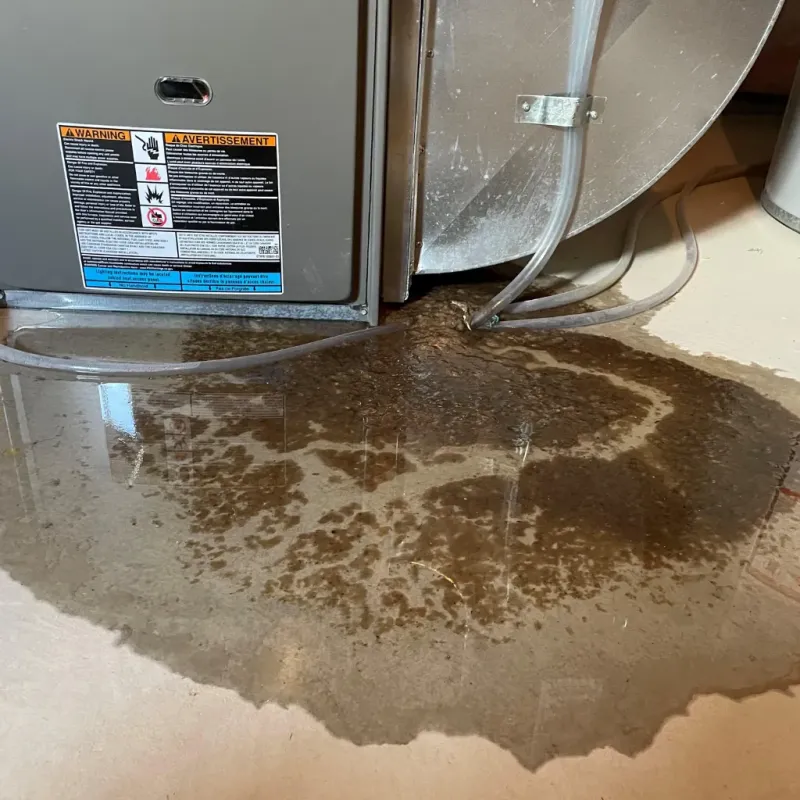 Appliance Leak Cleanup in Nantucket, MA